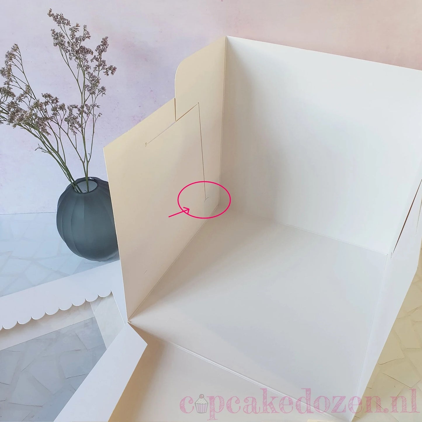Hoge taartdoos 25x25x25 - luifel (10 st) - Cupcakedozen.nl