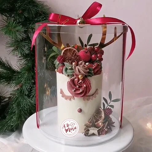 De slimme taartstolp Ø21 x 25 cm (20 st.) - Cupcakedozen.nl