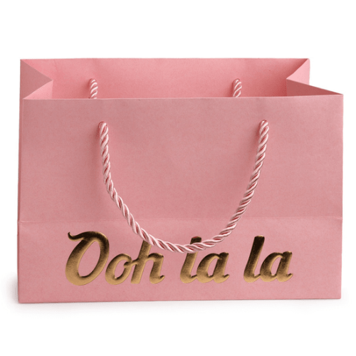 Vooraanzicht van de lege roze papieren tas met gedraaid roze koord en gouden letters