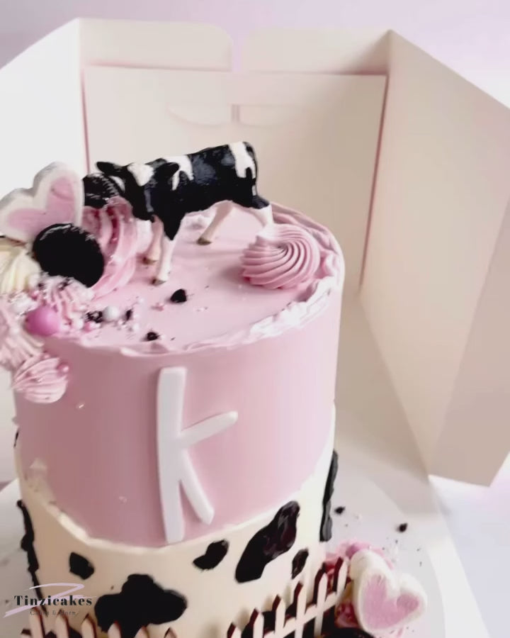 tall pink cake boxes